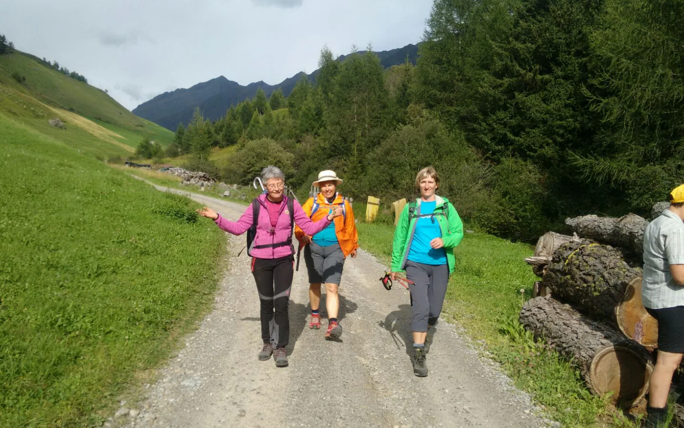Vinschgau SW 2017  1.jpg